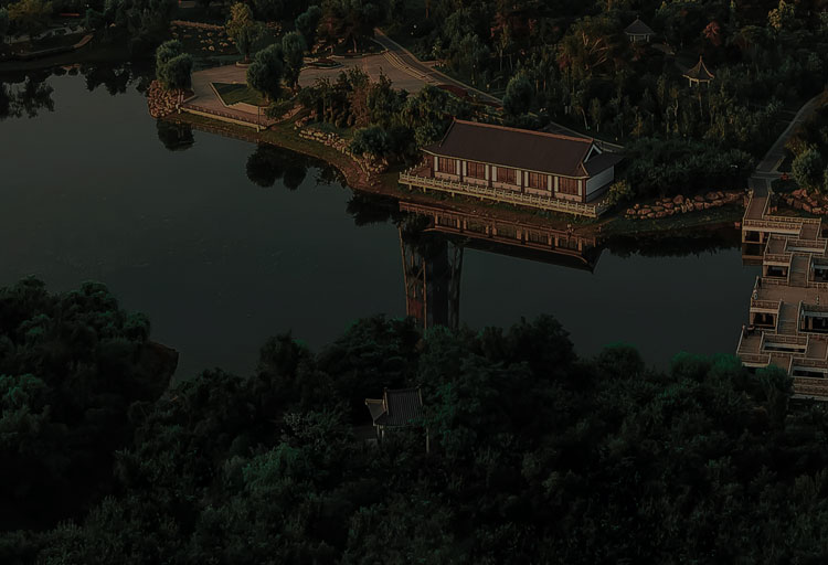关于禾叶